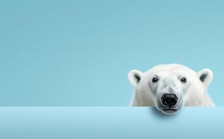 ai généré polaire ours près une bleu mur photo