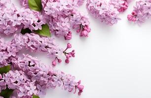 ai généré rose lilas fleurs sur une blanc Contexte photo