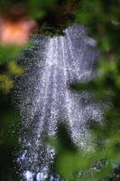 l'eau vaporisateur de une Fontaine dans le forêt photo