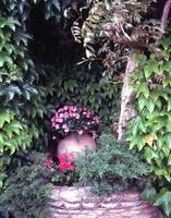 une fleur pot séance dans une jardin entouré par les plantes photo