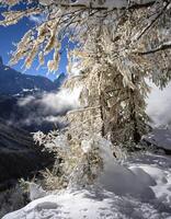 une neigeux Montagne intervalle photo