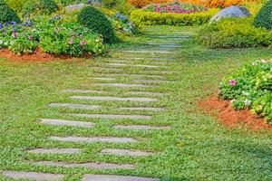 allée dans le jardin photo