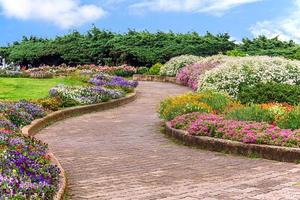 allée dans le jardin photo