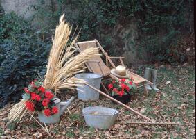 une pile de feuilles photo