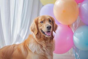 ai généré chien est assis parmi le de fête décorations. chien parmi des ballons. génératif ai photo