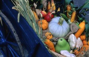 une bleu wagon rempli avec divers des fruits et des légumes photo