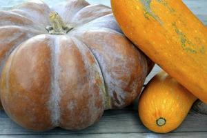 gros plan de citrouille et courgette orange. fond naturel avec des citrouilles pour halloween. photo