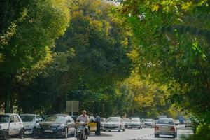 isfahan, iran, 2016 - arbres verts luxuriants le long de la route avec de nombreux parkings et voitures en marche. heure de printemps et d'été avec la lumière naturelle du soleil.