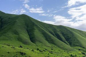 paysage de vert Prairie sur montagnes et bleu ciel dans été photo