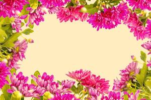 floral Cadre chrysanthème. magnifique fleurs composition. fleurs sur blanc Contexte. valentines jour, Pâques. plat poser, Haut voir, copie espace. photo