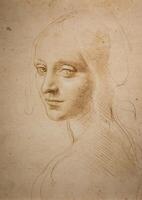 léonard da Vinci dessins sur Fait main coton papier, Royal bibliothèque - Turin, Italie photo