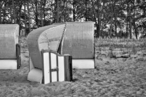 plage chaise sur le plage à zingst sur le baltique mer. des arbres dans le Contexte. photo