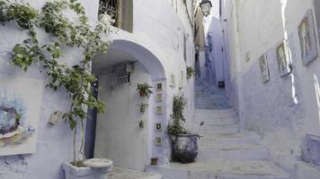 magnifique étroit des rues de Grèce. action. décoratif éléments, peintures et les plantes. photo