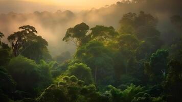 ai généré spectaculaire vue sur le forêt tropicale dans le lever du soleil, neural réseau généré photoréaliste image photo