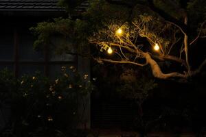 ai généré une chaîne de lumières pendaison sur le arbre bokeh style Contexte avec génératif ai photo