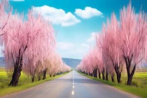 ai génératif une route parmi Cerise fleurs dans valle del jetere Espagne photo