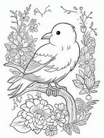 mignonne oiseau pour des gamins coloration page photo