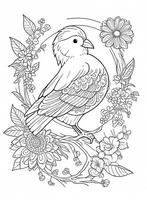 mignonne oiseau pour des gamins coloration page photo