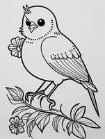 mignonne oiseau pour des gamins coloration page photo