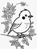 mignonne oiseau pour des gamins coloration page photo