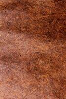 abstrait Contexte texture Roche le sable papier marron or photo