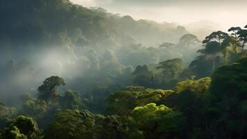 ai généré spectaculaire vue sur le forêt tropicale dans le lever du soleil, neural réseau généré photoréaliste image photo