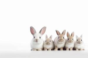 ai généré mignonne lapin animal de façon réaliste. blanc Contexte photo