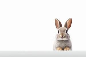 ai généré mignonne lapin animal de façon réaliste. blanc Contexte photo