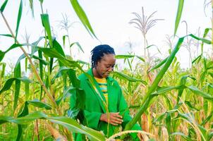 jolie agriculteur sourit comme travail sur sa cultures photo