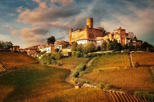 paysage de barolo vin, langhe zone photo