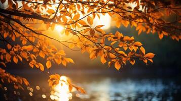 ai généré l'automne paysage avec Orange et Jaune feuilles sur branche avec Matin lumière du soleil ,automne arrière-plan, génératif ai photo