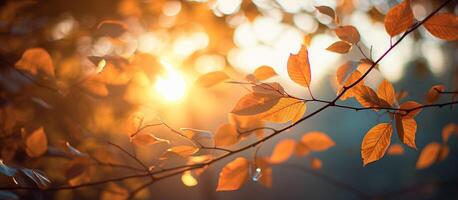 ai généré l'automne paysage avec Orange et Jaune feuilles sur branche avec Matin lumière du soleil ,automne arrière-plan, génératif ai photo