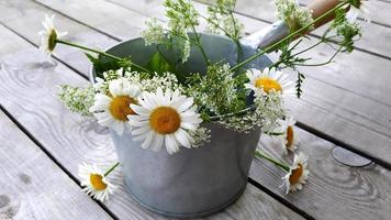 camomille. un bouquet de marguerites blanches sauvages dans un seau en métal. louche de bain. photo