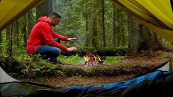 barbu homme par le Feu dans une magnifique forêt. le camping est situé dans une magnifique forêt pelouse dans le montagnes. Voyage concept photo