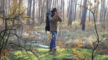 une homme dans une chapeau avec une sac à dos prend des photos dans le forêt. Voyage concept