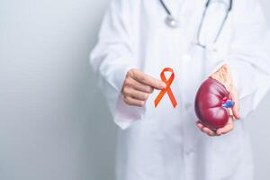 médecin en portant Orange ruban avec un rein surrénal glande modèle. un rein cancer conscience Mars mois, maladie de urinaire système et des pierres, cancer, chronique rein, urologie, rénal et transplantation concept photo