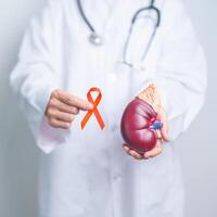 médecin en portant Orange ruban avec un rein surrénal glande modèle. un rein cancer conscience Mars mois, maladie de urinaire système et des pierres, cancer, chronique rein, urologie, rénal et transplantation concept photo