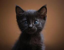 ai généré images de une petit noir chaton. photo