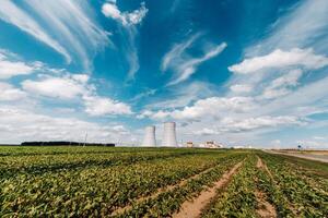 champ près le nucléaire Puissance plante dans le Ostrovetski district.field autour le nucléaire Puissance plante. biélorussie photo