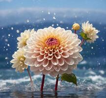 ai généré magnifique dahlia fleurs dans l'eau avec gouttes de pluie. photo