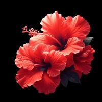 ai généré rouge hibiscus isolé sur noir Contexte. fleurs et les plantes dans printemps. photo