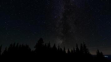 le laiteux façon galaxie au dessus le silhouettes de des arbres. étoilé nuit Contexte. photo