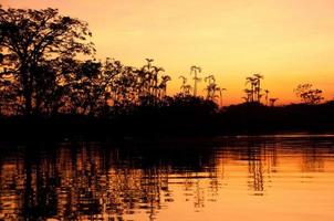 lac amazonien au coucher du soleil, équateur photo