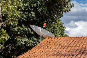antenne parabolique sur le toit photo