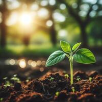 ai généré pousse vie, vert semis dans sol, écologie concept photo