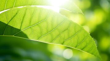 ai généré ensoleillé vert feuilles en dessous de brillant été ciel photo