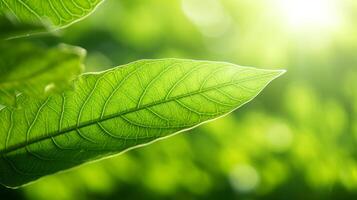 ai généré ensoleillé vert feuilles en dessous de brillant été ciel photo