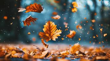 ai généré l'automne feuilles en volant dans le air dans le forêt. Naturel Contexte photo