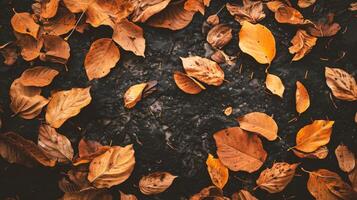 ai généré l'automne feuilles Contexte. photo