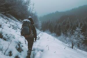 ai généré homme avec sac à dos randonnée dans hiver forêt. voyageur avec sac à dos randonnée dans hiver forêt. photo